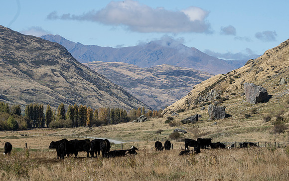 240406 Wanaka 08DSC06970