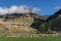 240406 Wanaka 07DSC06962