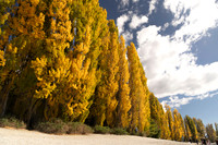 240406 Wanaka 02DSC06894
