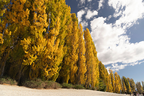 240406 Wanaka 02DSC06894