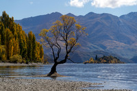 240406 Wanaka 01DSC06890
