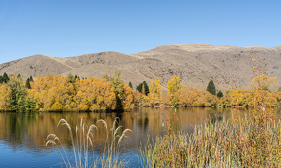 240419 Omarama Valleys27DSC08381