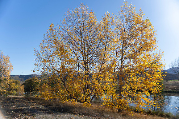 240419 Omarama Valleys28DSC08424