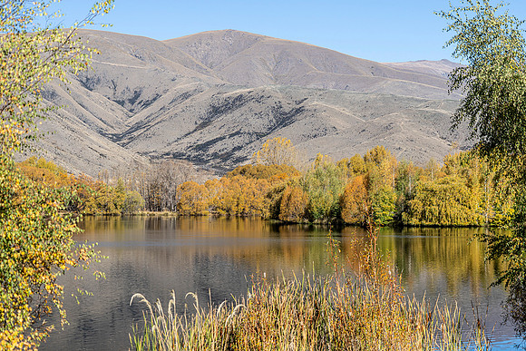 240419 Omarama Valleys26DSC08379
