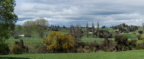 Rangitikei