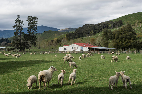 Rangitikei 1