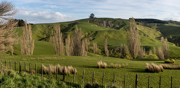 Rangitikei 4