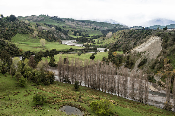 Rangitikei 3