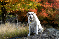 Dudley  DSC06919