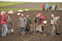 Ukraine Farm girls