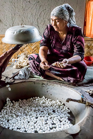 Extracting a silk thread