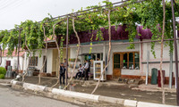 Houses with grapes along roadside