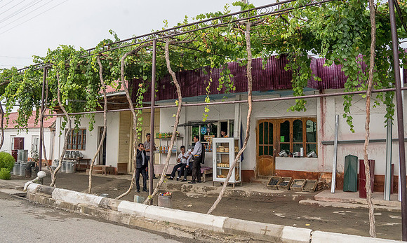 Houses with grapes along roadside