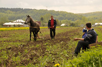 Ukraine Plow