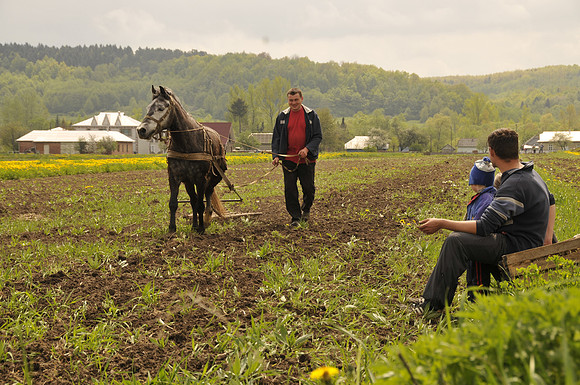 Ukraine Plow