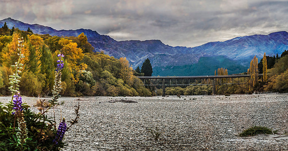 Shotover River