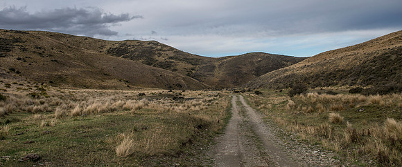_D136674