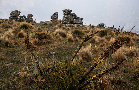 _D133660-457x298