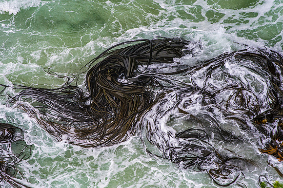 Dunedin Harbour - Heads