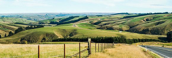 _D132004-4649