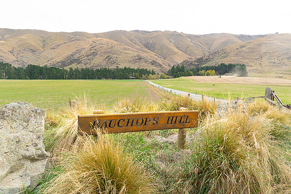 03Bauchops Hill Stn DSC09250