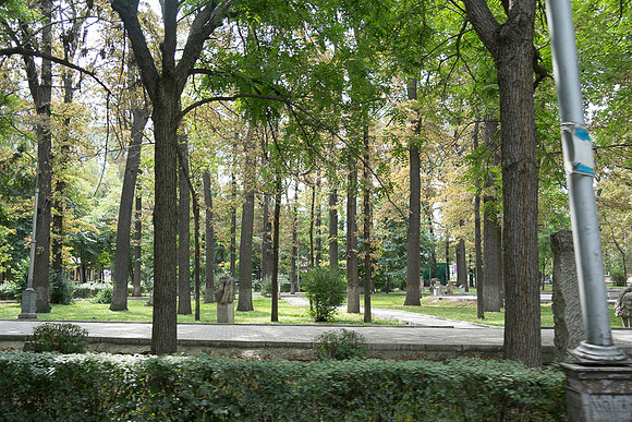 027DSC01551