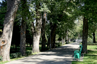 Many parks