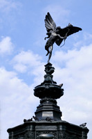 England Picadilly