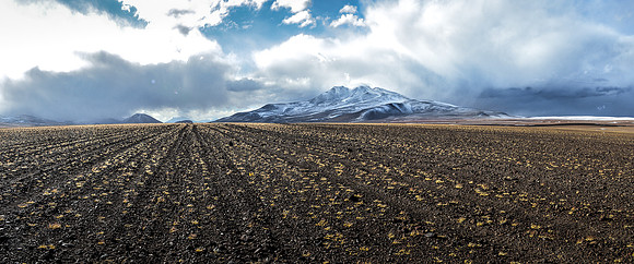 _D133976-Edit