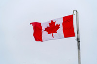 Canada. Lab,Nf  180830