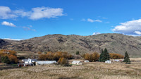 250513 DJI_20250513122826_0001_D