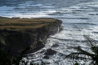 001DSC02409
