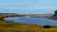 DSC01918b