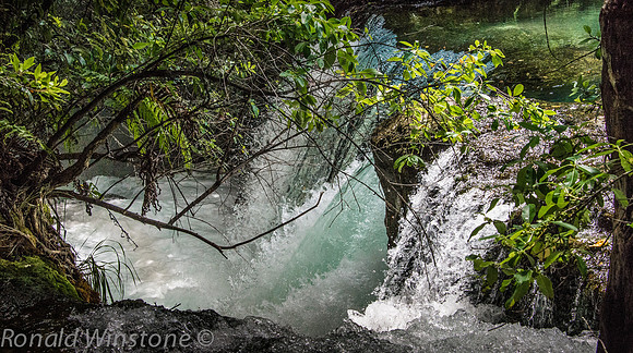 Tarawera Waterfall pool -134260