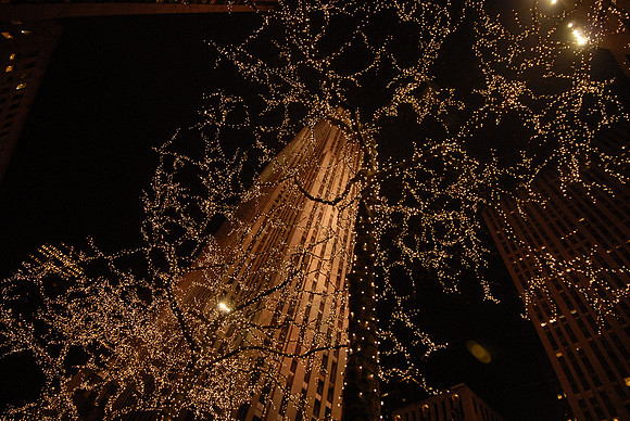 _DSC1799