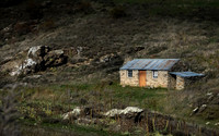 250507 DSC03258