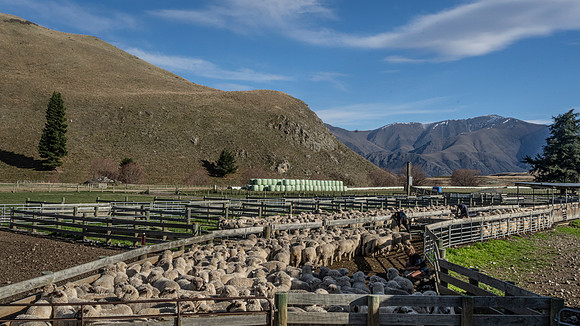 250515 DSC04307
