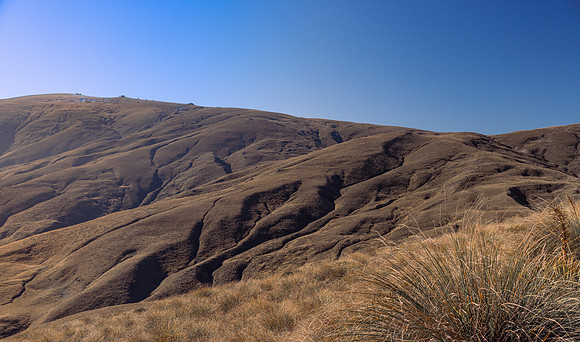 250424.5 DSC03145