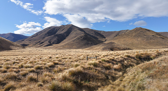 250513 DJI_20250513133441_0015_D