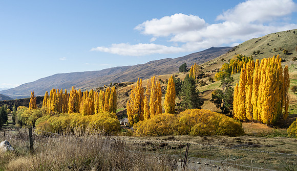 250424 DSC03051