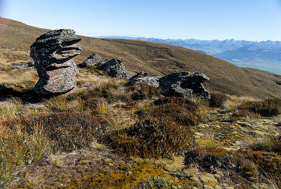 250424.5 DSC03109