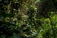 Artz Photo 5 -_DSC5964