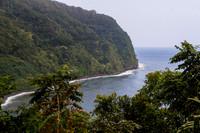 Artz Photo 5 -_DSC6032