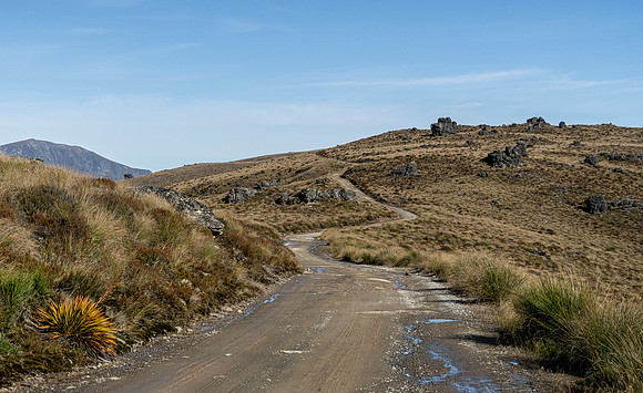 250424.5 DSC03141