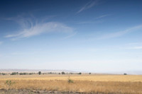 Dry, featureless farmland.