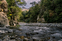 Maitland Stream, Ohau  DSC05412