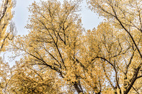 250418 DSC02790