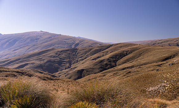 250424.5 DSC03142