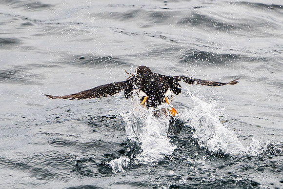 Canada-011_A185238