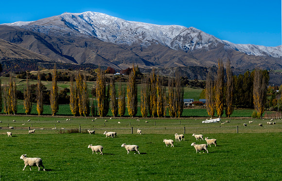 250502 DSC03203-Pano